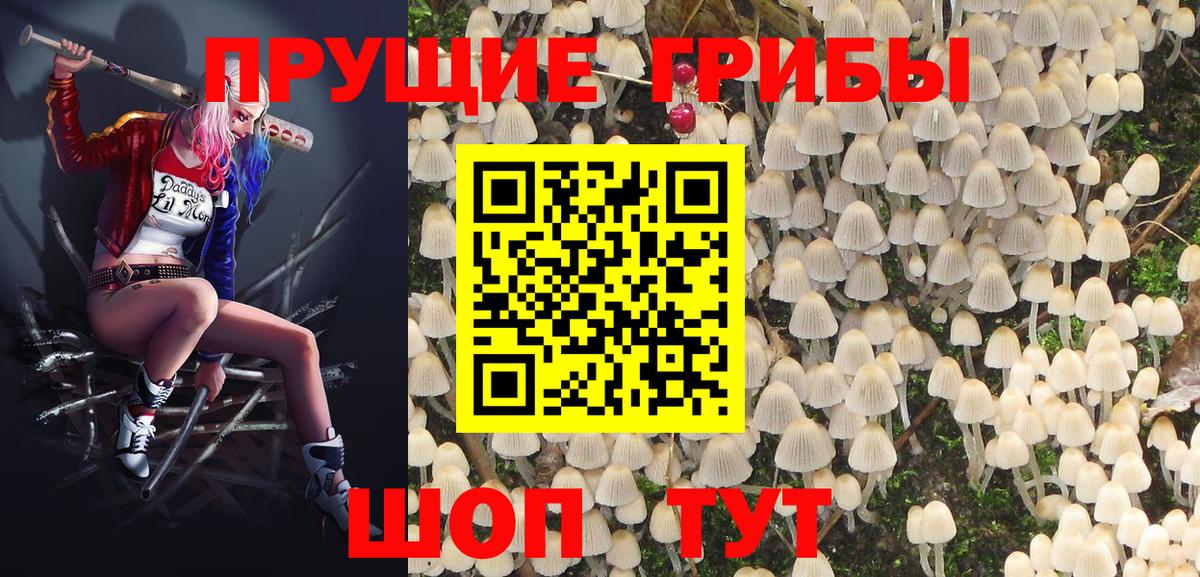 Псилоцибиновые грибы Magic Shrooms Советский