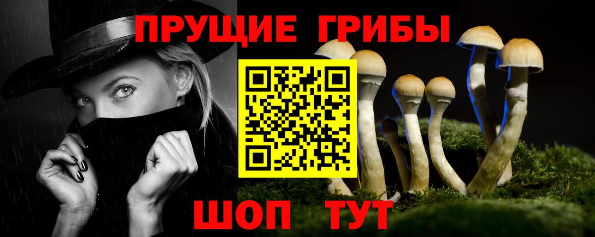 Советский  Псилоцибиновые грибы Psilocybe  Галлюциногенные грибы ЛСД  Вход с VPN 